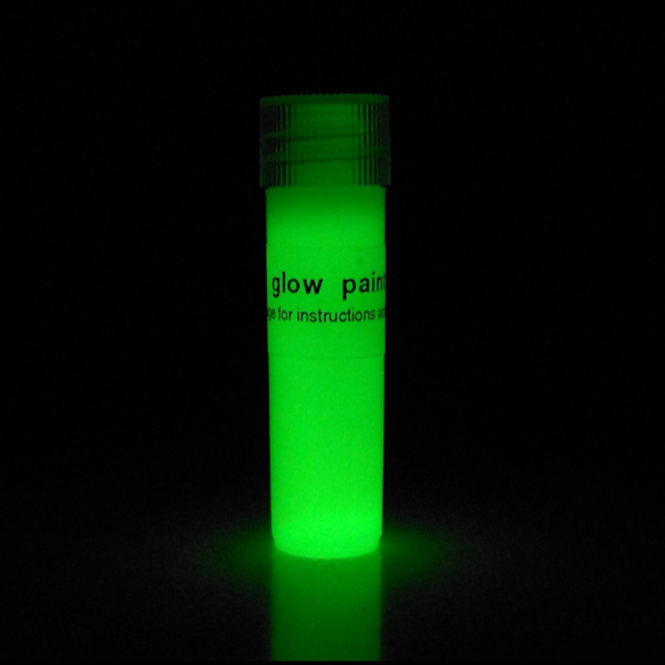 Glow-in-the-Dark Sight Paint Kit